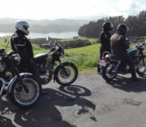Coromandel hills