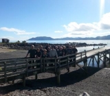 Waihau Bay Wharf