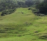 Long walk up
