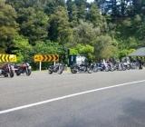 Last Stop in Waioeka Gorge